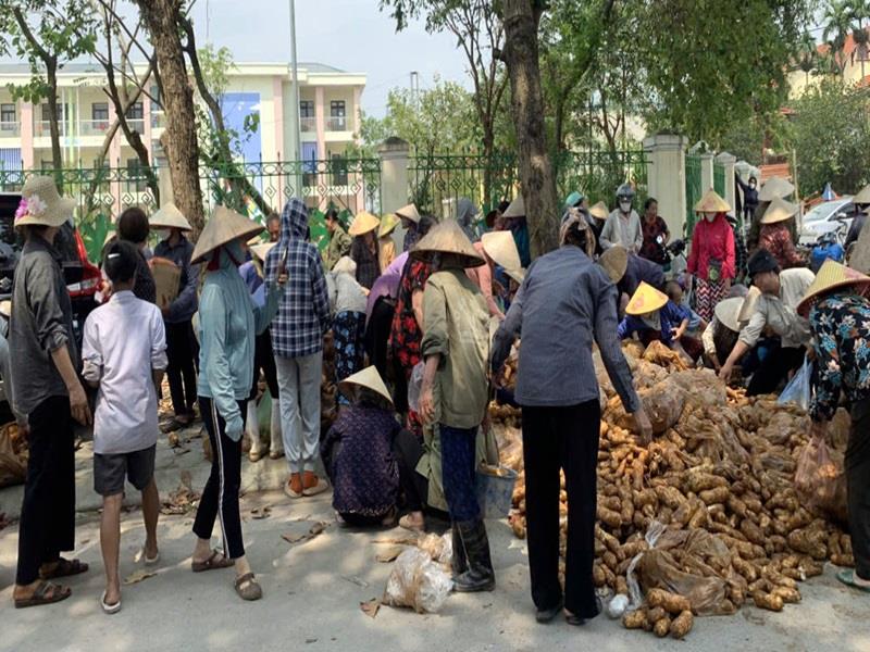 Bà con nhận củ quả tại Thanh Trì - Hà Nội