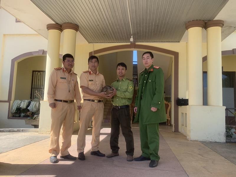 Lực lượng Công an huyện bàn giao cá thể tê tê cho Hạt Kiểm Lâm