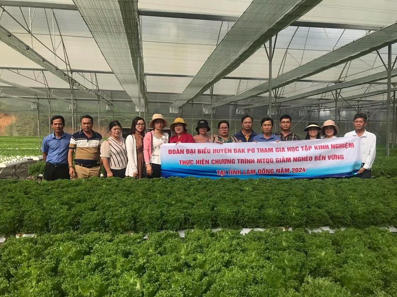 Đoàn công tác huyện Đak Pơ tham quan mô hình trồng rau thủy canh tại huyện Lạc Dương