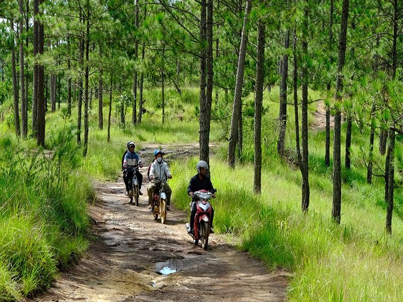 Cán bộ, nhân viên Ban Quản lý Rừng phòng hộ Đa Nhim cùng các hộ dân tham gia nhận khoán đi tuần tra, bảo vệ rừng