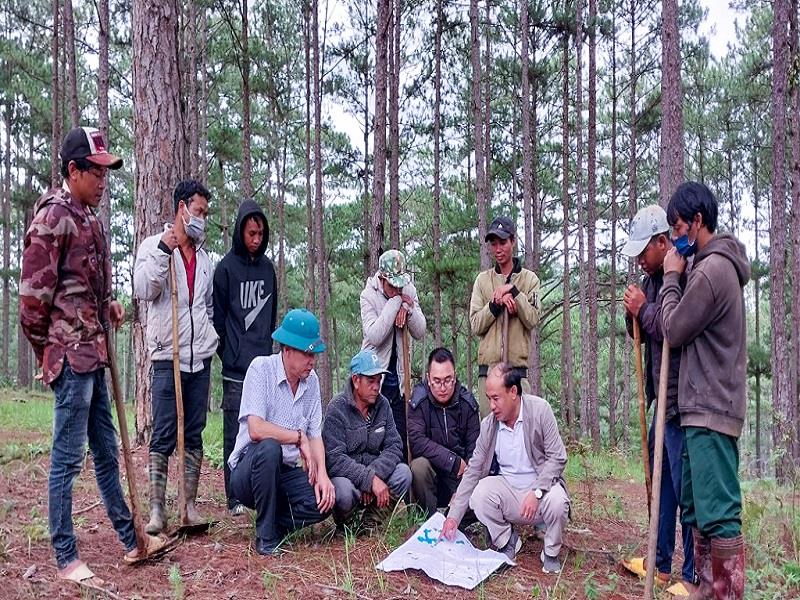 Cán bộ Ban Quản lý, bảo vệ Rừng phòng hộ đầu nguồn Đa Nhim triển khai kế hoạch tuần tra, bảo vệ rừng cho các hộ nhận khoán