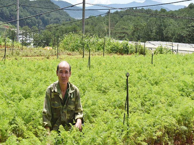 Chủ nhân Nguyễn Thanh Hải bên luống rau hữu cơ ngoài trời luân canh đạt lợi nhuận cao