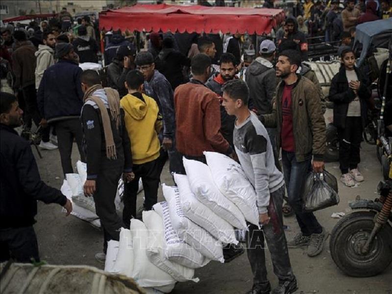 Người tị nạn Palestine nhận hàng viện trợ  tại thành phố Rafah, Dải Gaza . Ảnh: AFP/TTXVN