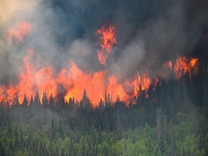 Cháy rừng tại Canada. (Ảnh: Reuters)