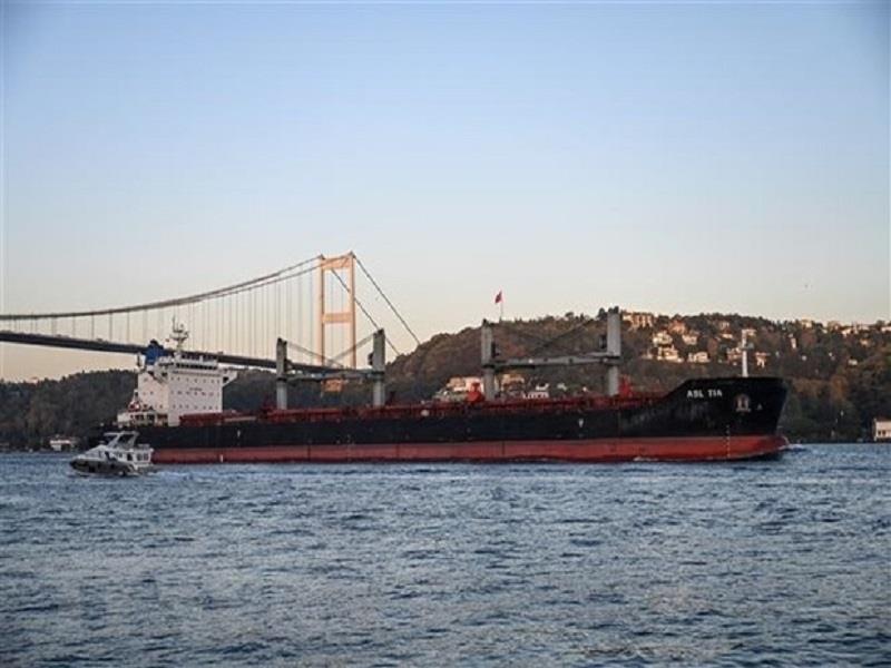 Tàu chở ngũ cốc di chuyển dọc Eo biển Bosphorus, ở Istanbul, Thổ Nhĩ Kỳ, ngày 2/11/2022. (Ảnh: AFP/TTXVN)