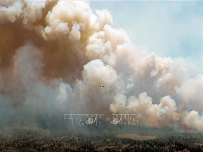 Máy bay dập lửa cháy rừng ở hạt Shelburne, Canada ngày 31/5/2023. Ảnh: THX/TTXVN