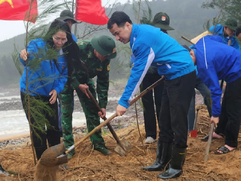 Trồng cây xanh tại bãi biển của Nghệ An