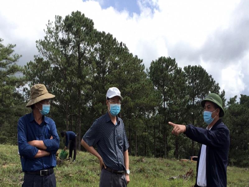 Bí thư Huyện ủy Lạc Dương Phạm Triều (giữa) kiểm tra việc giải tỏa và trồng cây trên vị trí lấn chiếm trái phép đất lâm nghiệp tại Tiểu khu 225
