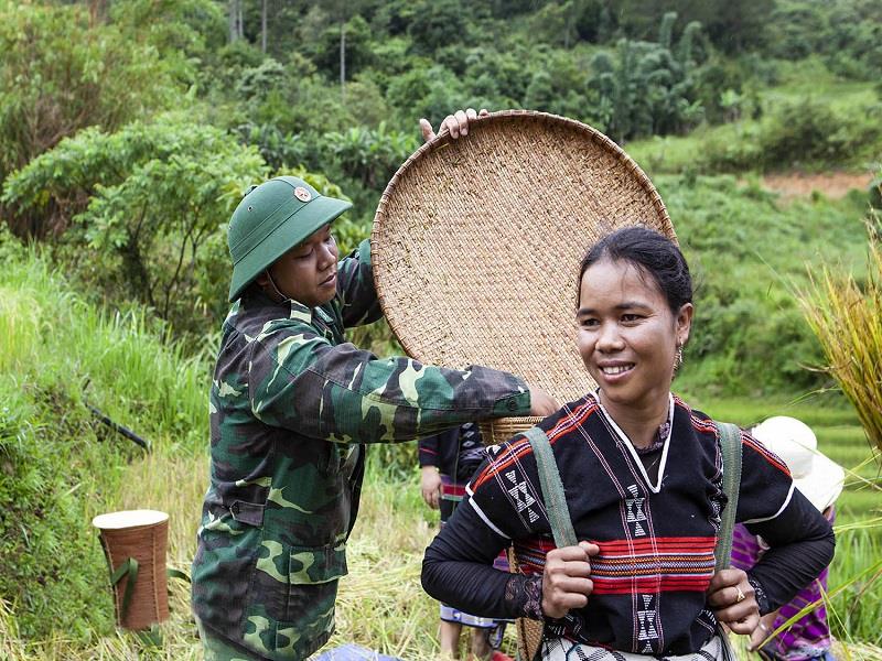 Bộ đội Biên phòng tỉnh Quảng Nam giúp đồng bào dân tộc thu hoạch lúa_Nguồn: qdnd.vn