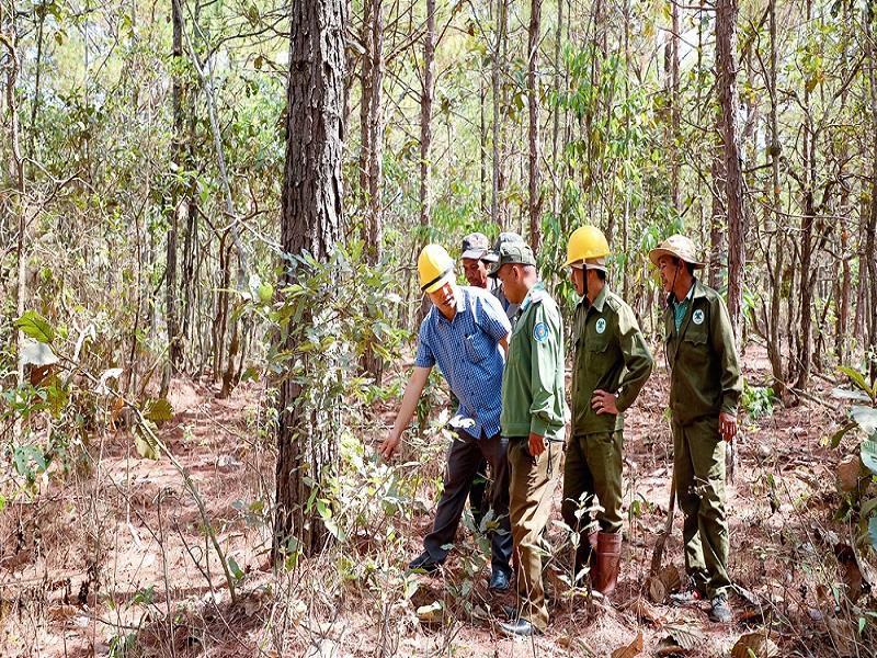 Các hộ nhận khoán và lực lượng kiểm lâm tuần tra bảo vệ rừng