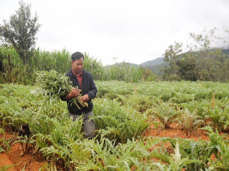 Nông dân xã Đạ Sar tích cực thực hiện các mô hình sản xuất nông nghiệp, phát triển kinh tế