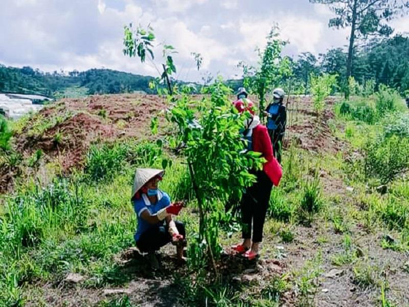 Phụ nữ xã Đạ Sar trồng cây xanh dọc các tuyến đường trên địa bàn xã