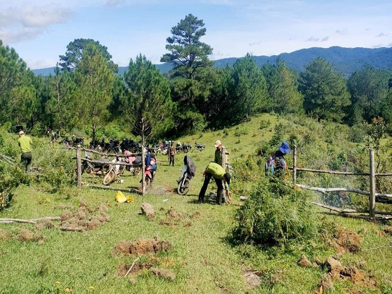 Các đơn vị chủ rừng phối hợp tiến hành giải tỏa cây trồng, tháo dỡ hàng rào trên các vị trí đất rừng đất lâm nghiệp bị lấn chiếm trái phép