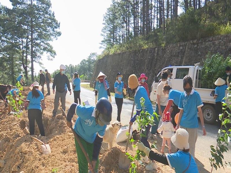 Chị em phụ nữ huyện Lạc Dương tham gia trồng cây xanh dọc tuyến đường Bidoup nối dài vào xã Đạ Sar