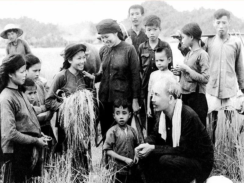 Bác Hồ thăm nông dân đang gặt lúa trên cánh đồng xã Hùng Sơn, huyện Đại Từ, Thái Nguyên (1954). Ảnh: TL