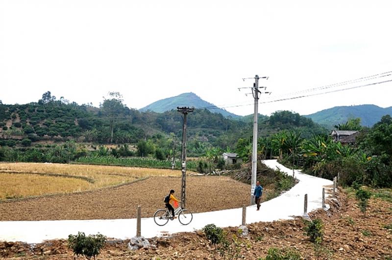 Đường vào thôn Bắc Hoa (xã Tân Sơn, huyện Lục Ngạn, tỉnh Bắc Giang) uốn lượn giữa cánh đồng