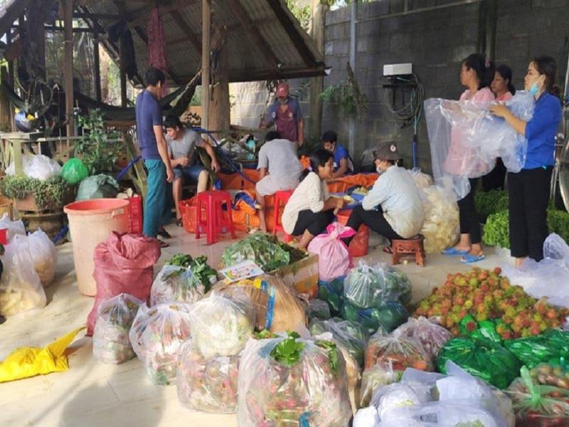 Lâm Đồng đã triển khai kế hoạch cung ứng 5.000 tấn rau, củ, quả cho TP Hồ Chí Minh trong 25 ngày liên tục (từ 22-8 đến 15-9)