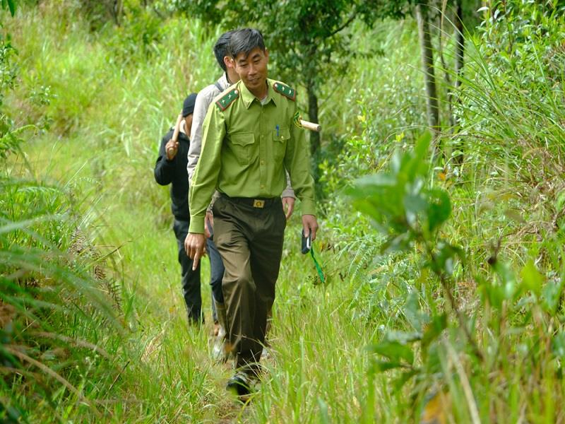 Công tác tuần tra, kiểm tra rừng tại xã Đưng K’nớ được các cấp, ngành chức năng và đơn vị chủ rừng tăng cường thực hiện