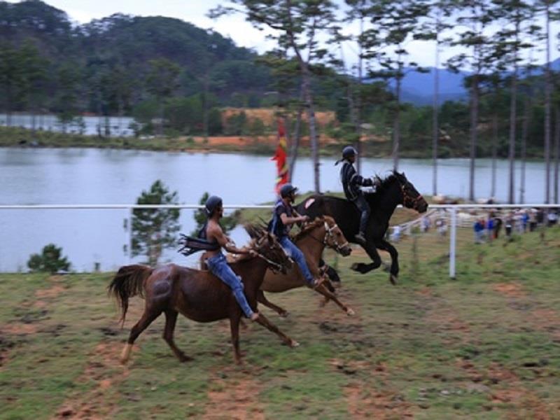 Giải đua ngựa không yên bên hồ Suối Vàng lần đầu tiên được tổ chức