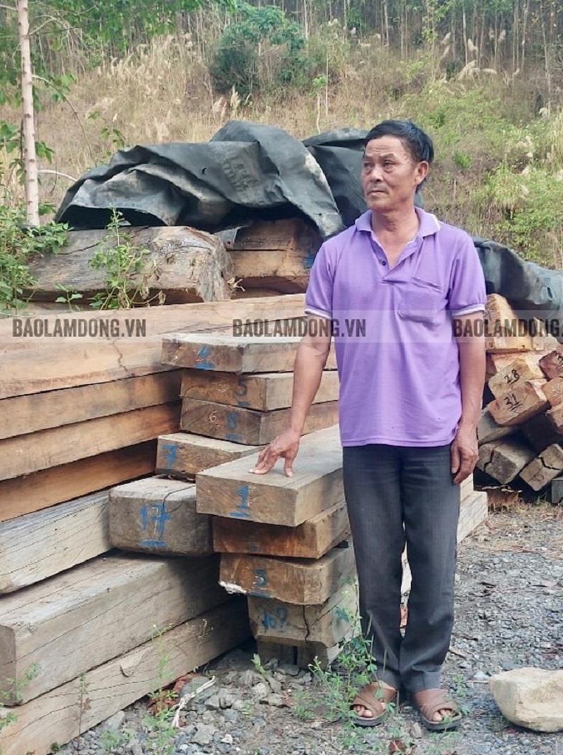 Đối tượng Phạm Tấn Sĩ và số gỗ mua từ nhóm của Hà Phượng hiện đang được Đội Kiểm lâm cơ động thu giữ