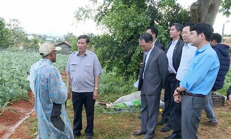 Lãnh đạo tỉnh và huyện thăm mô hình sản xuất của gia đình Lơ Mu Ha Hang, xã Đạ Sar