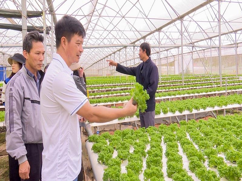 Đại biểu các huyện tham quan mô hình nông nghiệp công nghệ cao tại huyện Lạc Dương