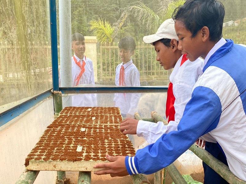 Học sinh Trường THCS Đưng K'nớ học cách ươm hạt trong vỉ xốp