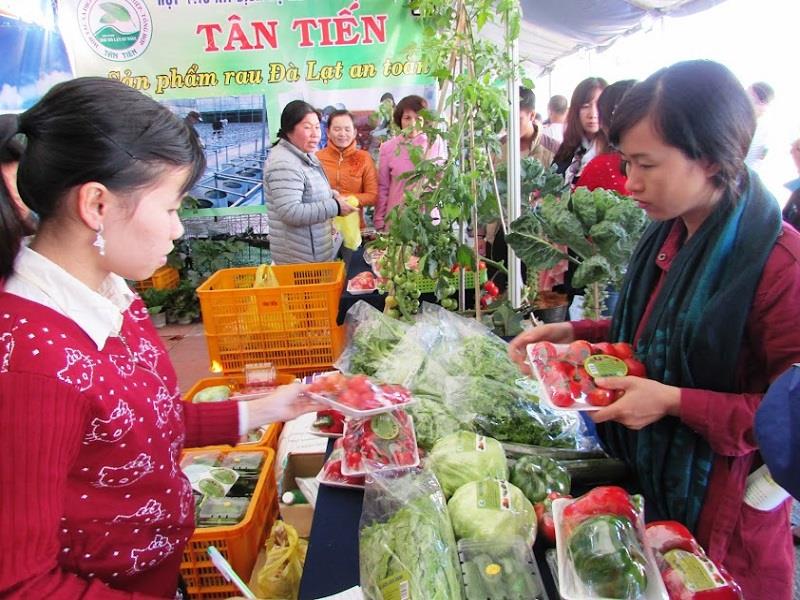 Hợp tác xã Dịch vụ nông nghiệp tổng hợp Tân Tiến, phường 12, thành phố Đà Lạt là 1 trong 100 đơn vị trong cả nước được tặng danh hiệu “Ngôi sao Hợp tác xã năm 2024”