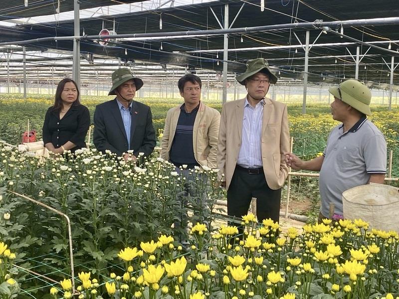 Chủ tịch UBND huyện Lạc Dương Bùi Thế thăm, động viên sản xuất tại Công ty TNHH Nông Trang Hoa Bi - đúp (xã Đạ Chais)