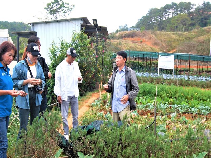 Mô hình nông nghiệp hữu cơ đã góp phần chuyển giao khoa học kỹ thuật sản xuất, tạo sinh kế bền vững ở huyện Lạc Dương