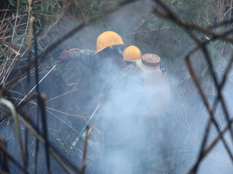 Lực lượng tham gia chữa cháy rừng ở Khu du lịch Hồ Tuyền Lâm