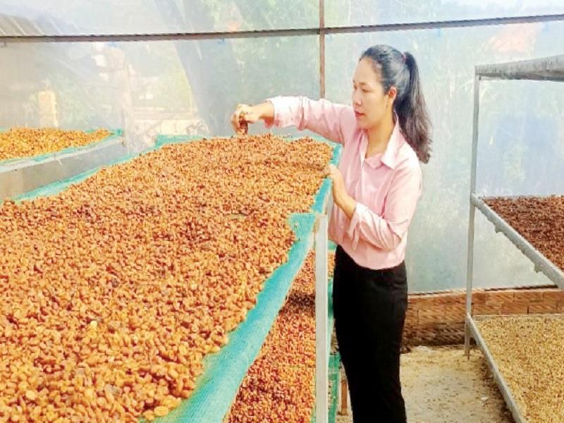 Phơi hạt cà phê tại cơ sở sản xuất của Liêng Jrang K’Chăm
