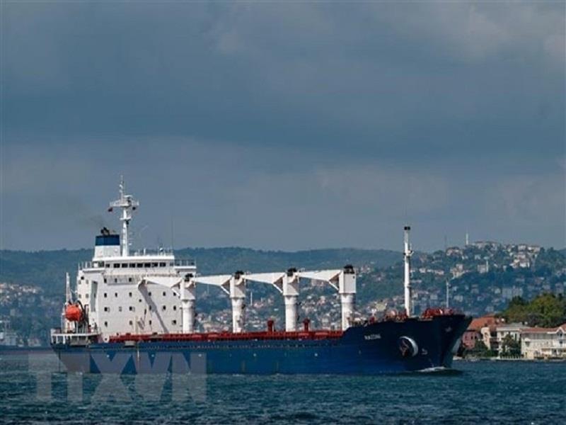 Tàu chở ngũ cốc di chuyển dọc Eo biển Bosphorus tại Istanbul, Thổ Nhĩ Kỳ, ngày 3/8/2022. (Ảnh: AFP/T)