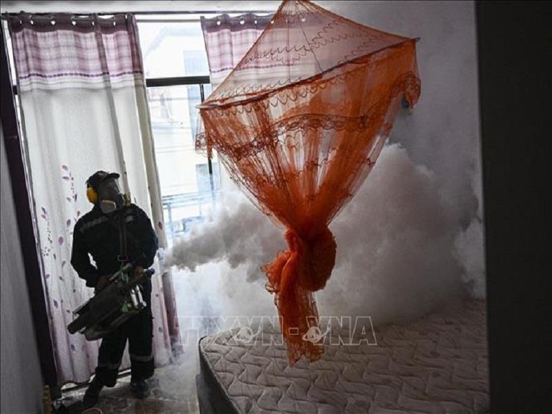 Phun thuốc muỗi nhằm ngăn chặn sự lây lan của bệnh sốt xuất huyết tại Piura, Peru. (Ảnh: AFP/TTXVN)