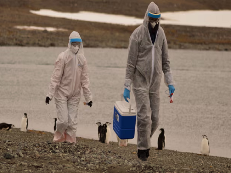 Các nhà nghiên cứu mặc bộ đồ bảo hộ thu thập các mẫu động vật hoang dã - nơi phát hiện có virus cúm gia cầm H5N1. (Ảnh: Reuters)